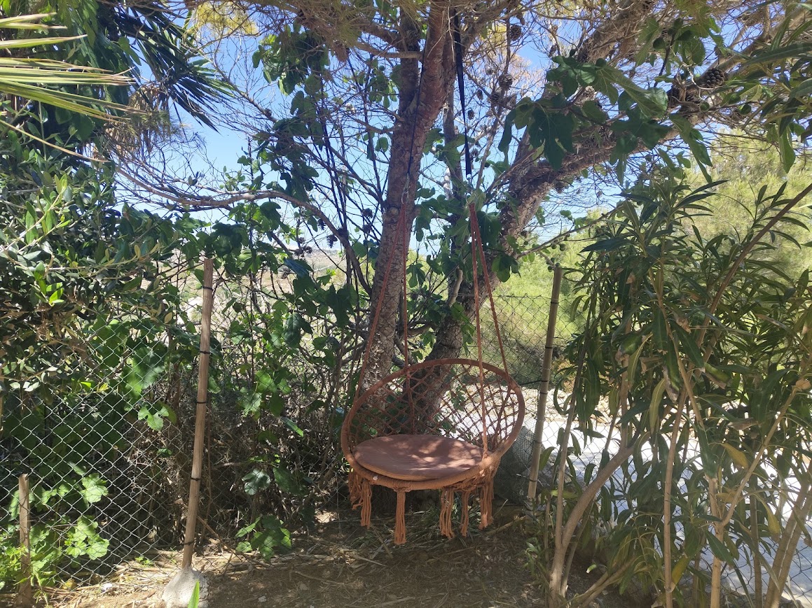 Hanging chair in a leafy outdoor garden
