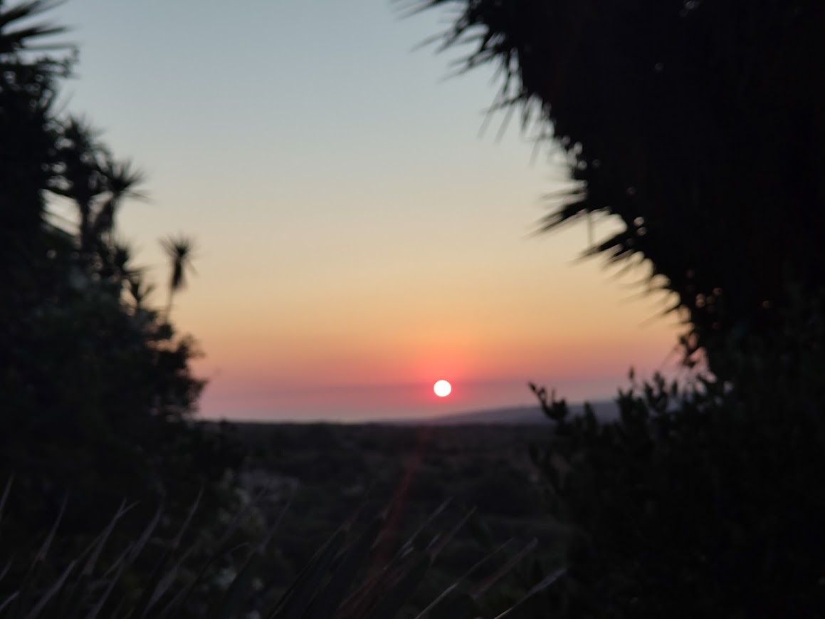Sunset framed by palm trees over the surrounding landscape
